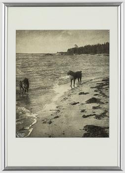 Henry B. Goodwin, Troll och Tott at the Beach on Utö, 1923.