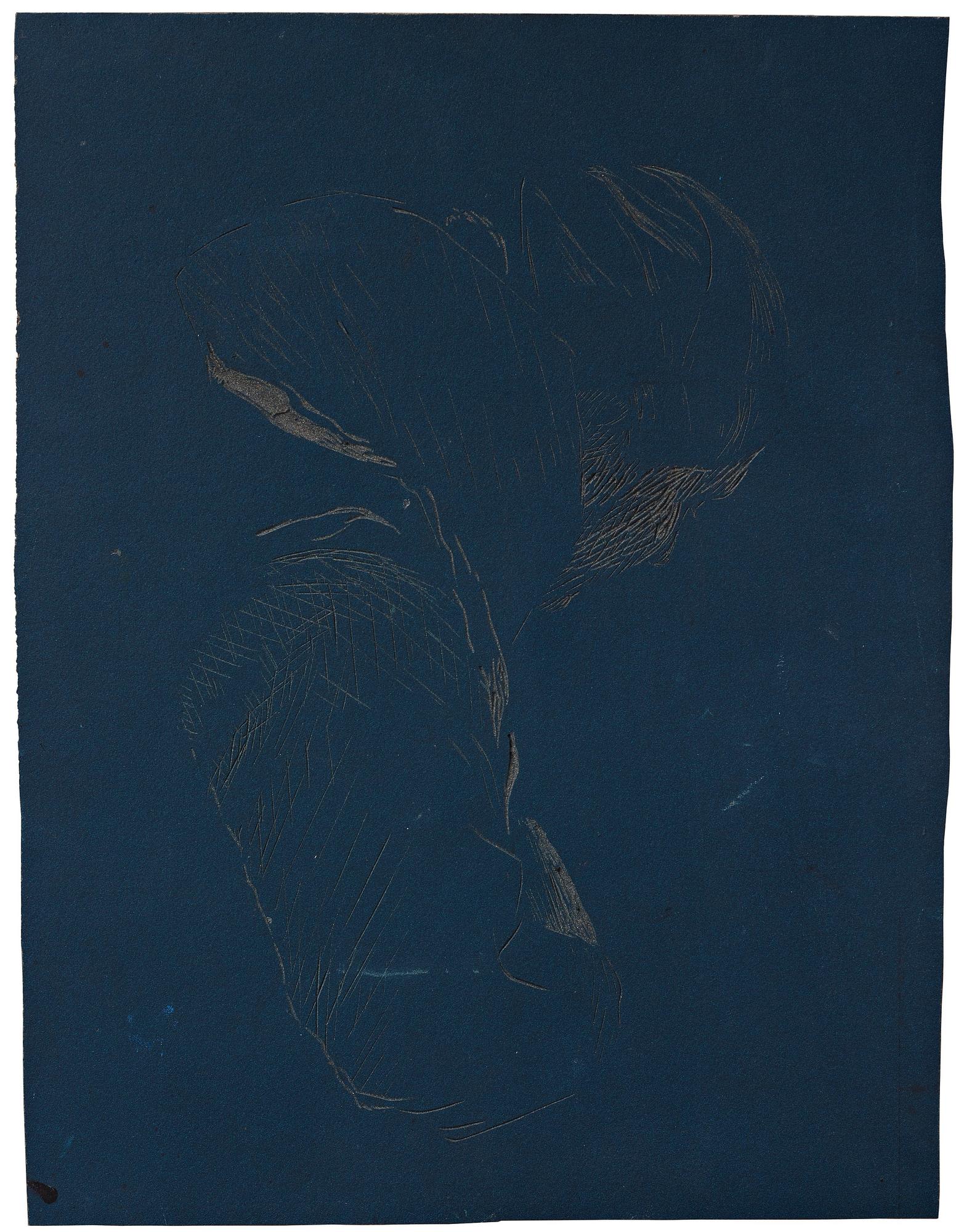 Idun Baltzersen, "Looking Down".