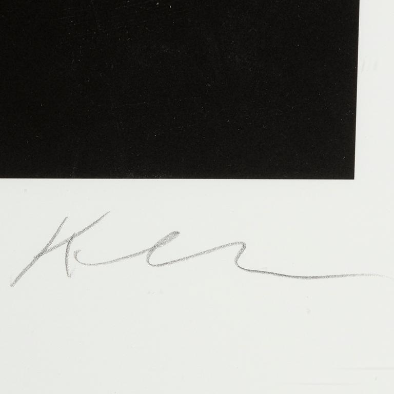 Ur serien "Fåglar", 2012.