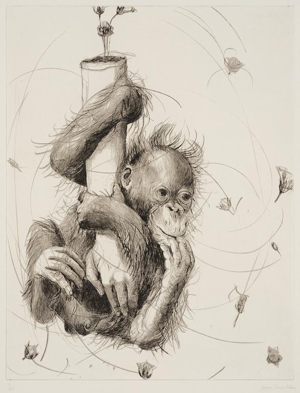 Linn Fernström, "Armen".