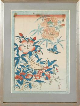 TRÄSNITT, 4 st, Japan, 1900-tal.