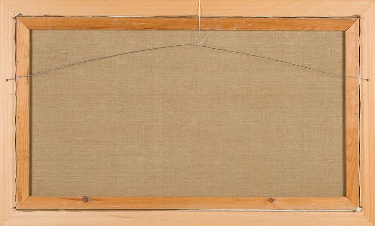 Aares Salli, Vinterlandskap.