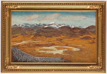 Nils Nilsson Skum, Reindeer herding.