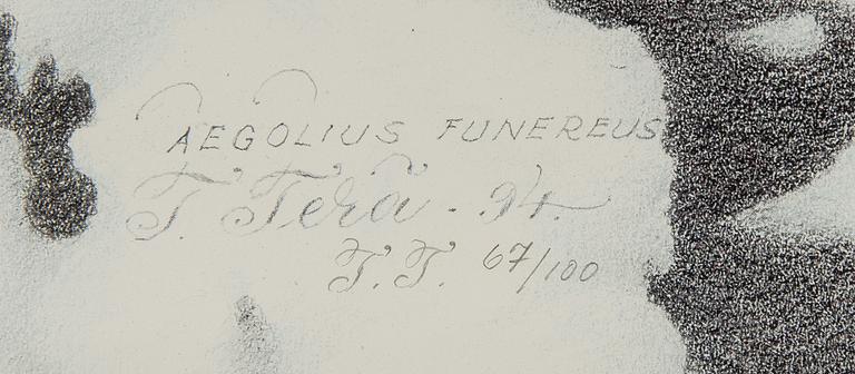 TEPPO TERÄ, litografi, märkt i plåten, signerad och numrerad 67/100, daterad -94.