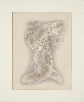 Hans Bellmer · HANS BELLMER, litografi, onumrerad.
