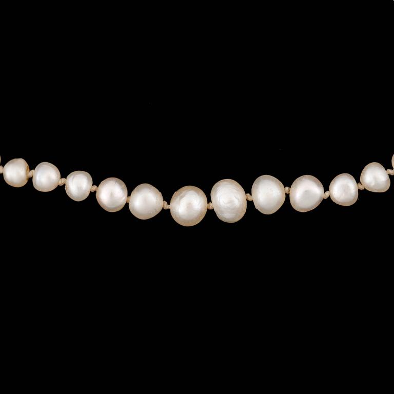 A pearl necklace. Pearl sizes from 1.5-4.5 mm.