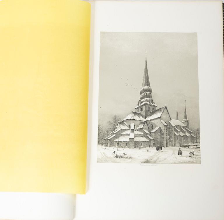 With 100 large tinted lithographed plates.