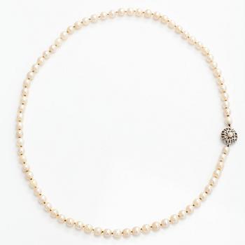 Pärlcollier, odlade pärlor, lås 18K vitguld.