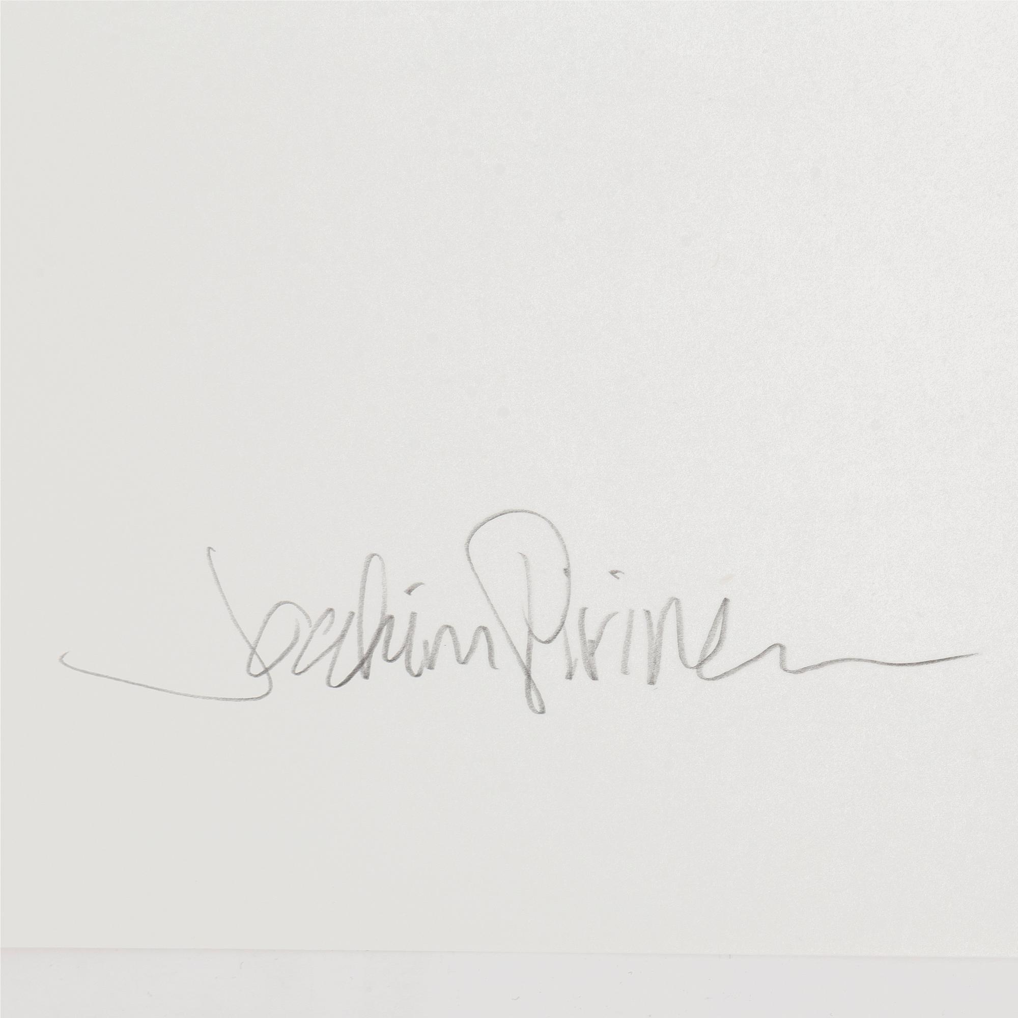 JOAKIM PIRINEN, pigment print, signerat. Ed 11/100.