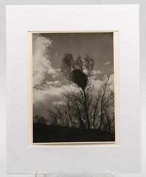 Emil Heilborn · HEILBORN, EMIL. Fotografi. stämpelsign a tergo. 