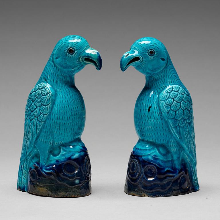 A pair of turquoise and aubergine glazed parrots, Qing dynasty, 19th Century.