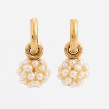 Pearl and gold earrings.