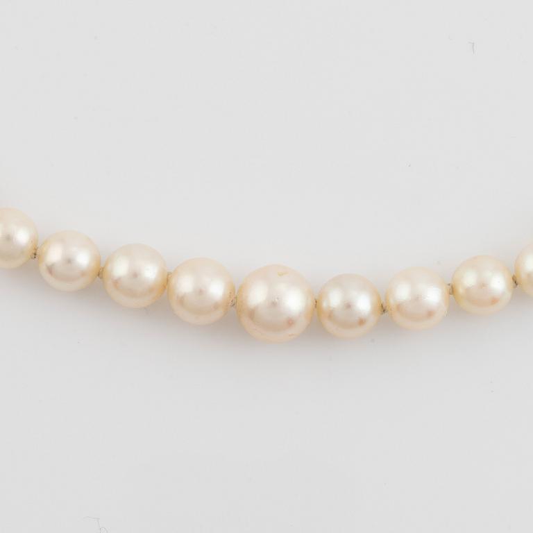 Cultured salt water pearl necklace, 18K white gold and sapphires.