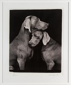 WILLIAM WEGMAN, photograph, signed and dated -09.