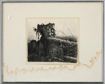 Ulf Wahlberg · ULF WAHLBERG, koltekning, signerad och daterad -76.