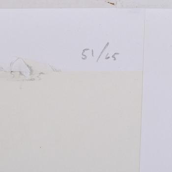 MARIA MIESENBERGER, C-print, numrerad à tergo 51/65, 2005.