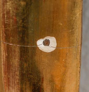 SPEGEL, rokokostil, omkring år 1900.