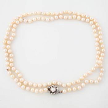 COLLIER, med odlade pärlor.