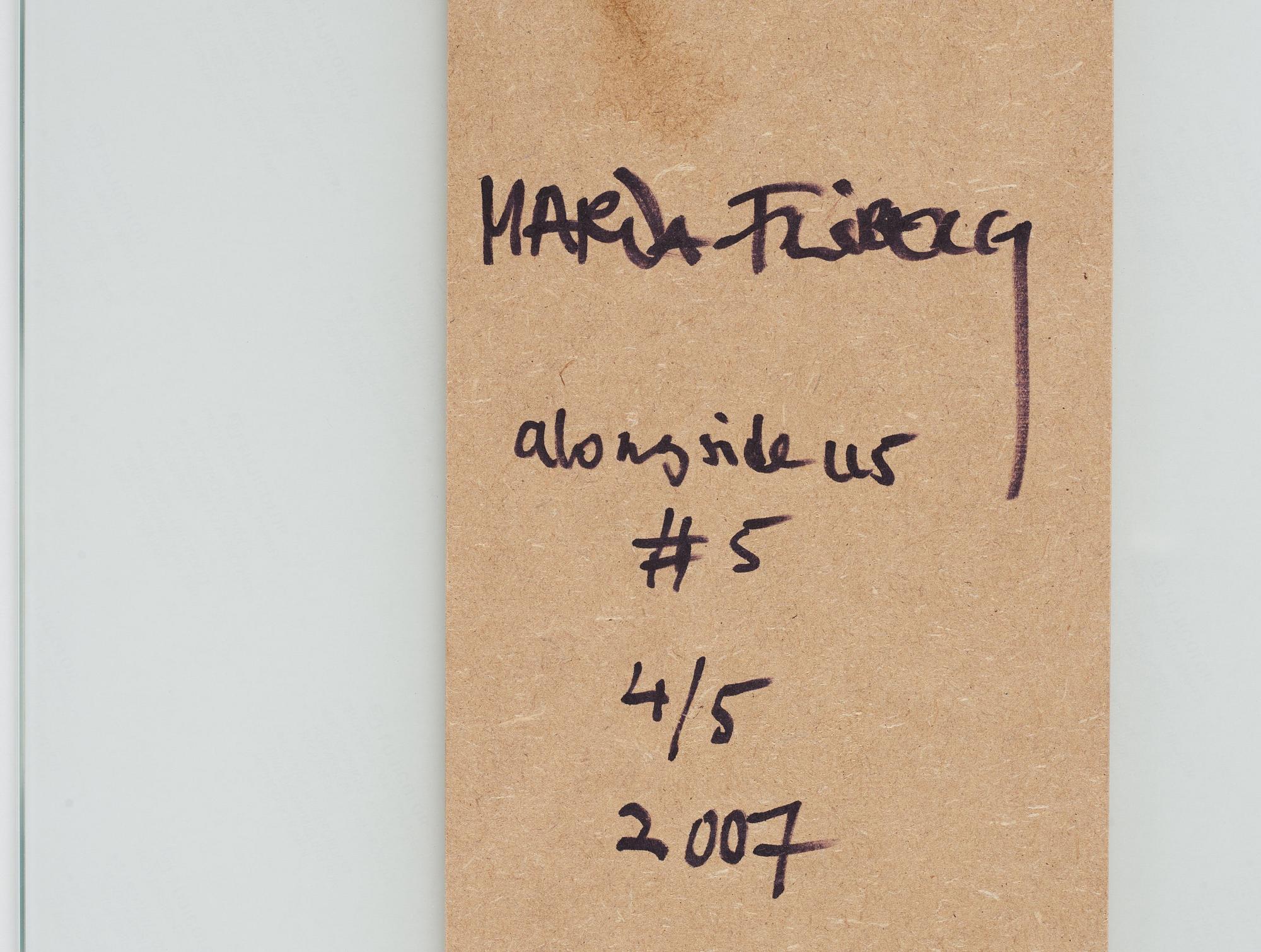 Maria Friberg, "Alongside Us #5", 2007.