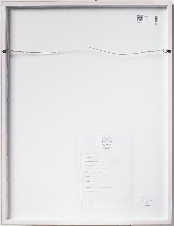 Johan Strindberg, "My Love", 2014.