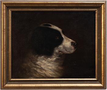 Engelsk konstnär, 1800-tal, Motiv med bordercollie.