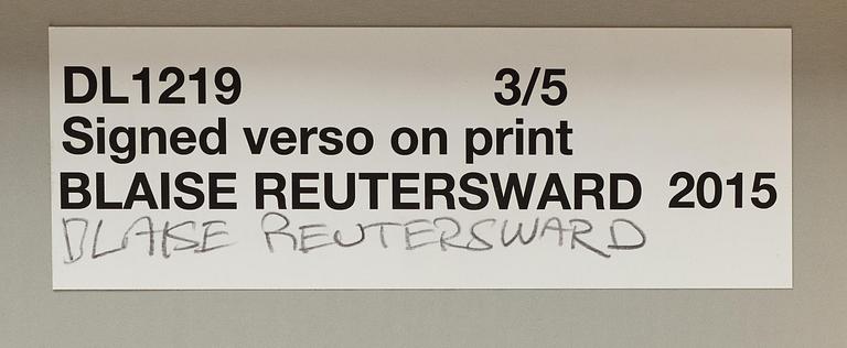 Blaise Reutersward, "DL 1219", 2015.