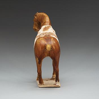 A potted figure of a horse, Tang dynasty (618-907).