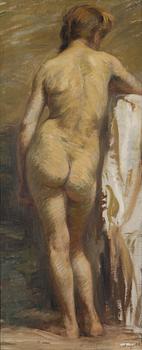 Santeri Salokivi, Model Study.