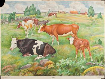 SKOLPLANSCHER, 5 st, 1900-tal.