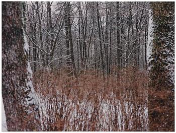Andreas Eriksson, "In Between".