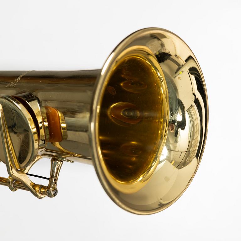 Trevor J. James, sopransaxofon, "Revolution 2"/ "The Hornet",  2000-tal, England.