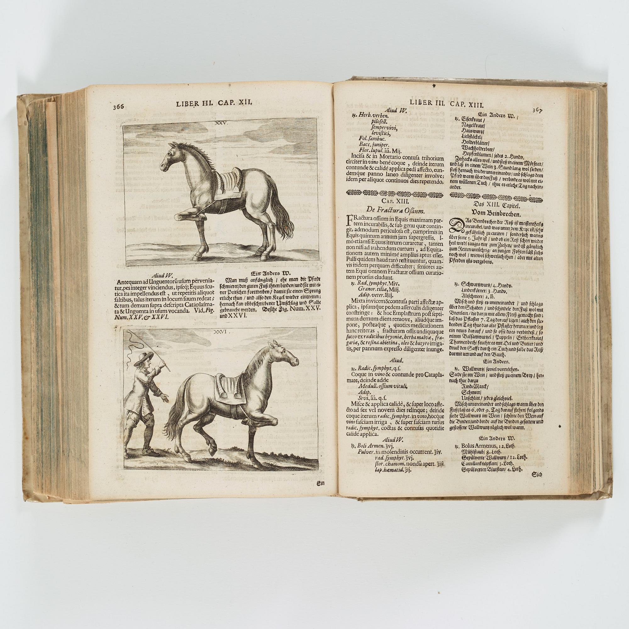GEORG SIMON WINTER VON ADLERSFLÜGEL, Bellerophon, sive Eques peritus..", Nuremberg Wolfgang Moritz Endter, 1678.