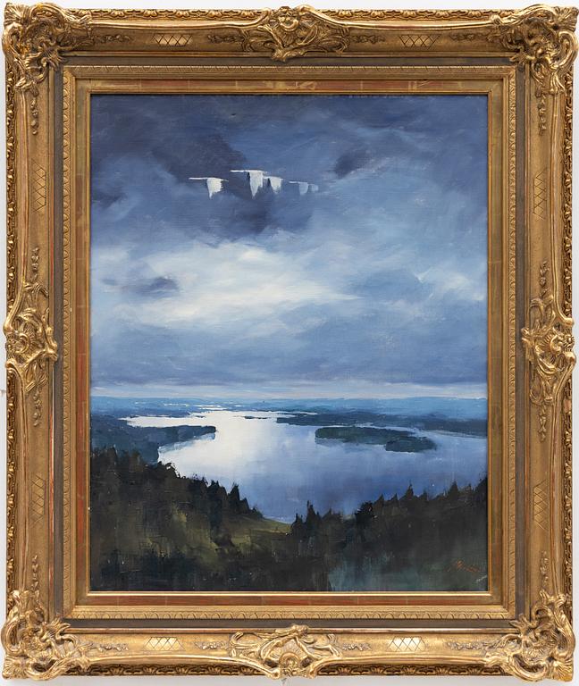 Axel Lind, Birds over still water.