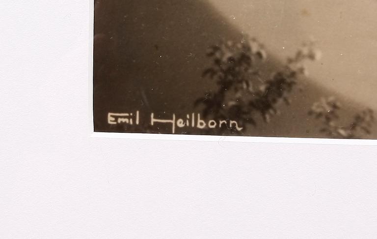 HEILBORN, EMIL, fotografi, stämpelsign.