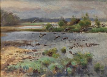 Lindorm Liljefors, 'Brunänder Dannemorasjön (Brown ducks at Dannemora Lake)'.
