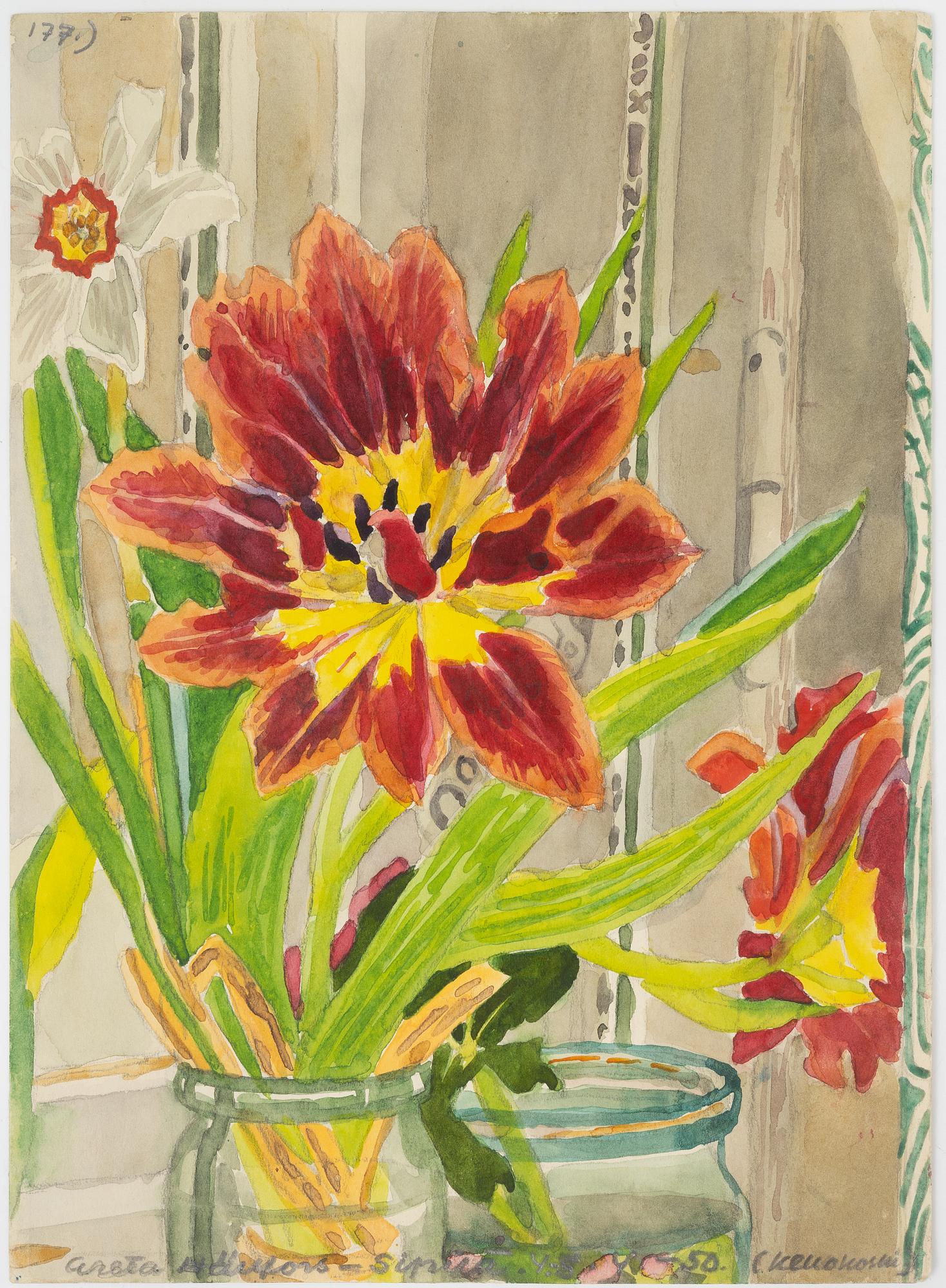 Greta Hällfors-Sipilä, Stilleben med tulpan.