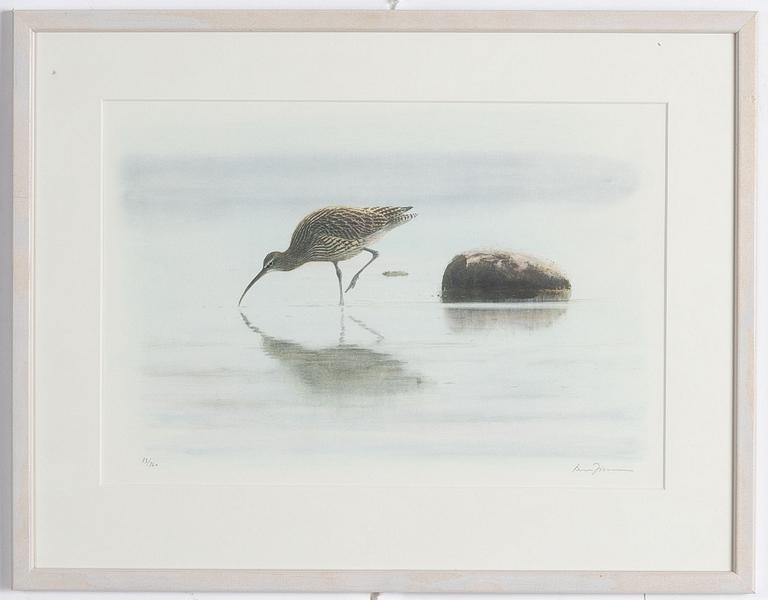 Lars Jonsson, Storspov.