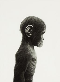Ulf Rollof, pigment print, 2013, signerat. Numrerat 5/100 verso.