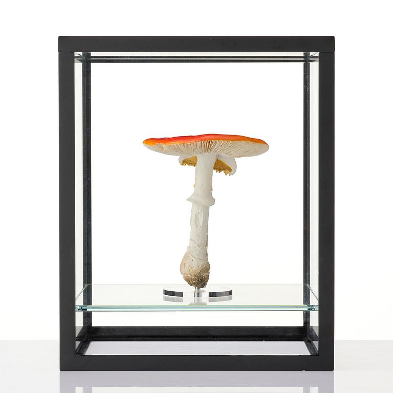 Carsten Höller, "Double Mushroom Vitrine (Once)".