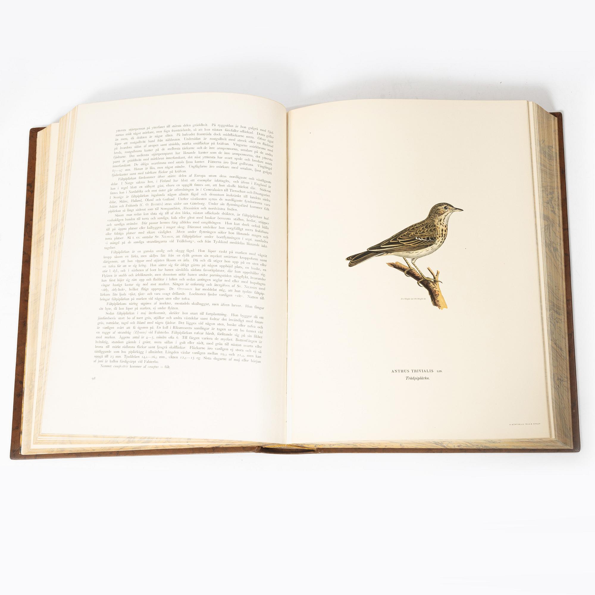 The Wright Brothers, book work, 3 volumes, "Swedish Birds", A. Börtzells tryckeri AB, Ivar Baarsen, Stockholm, 1927-1929.