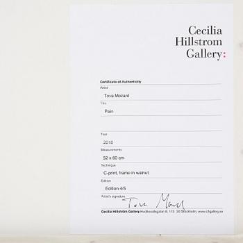 Tova Mozard, "Pain", 2010.