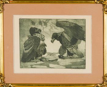 Lennart Segerstråle, Kotkat.