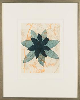 Pälvi Hanni, etching, signed and numbered T'pla 11/50.