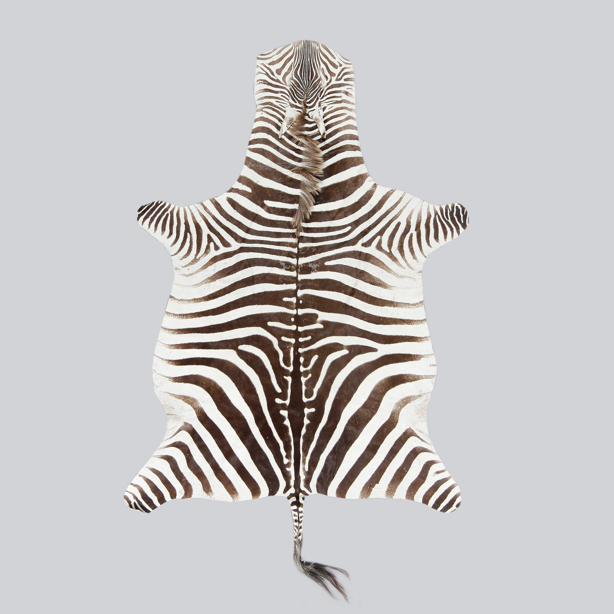 MATTA, Zebraskinn, ca 266x170 cm.