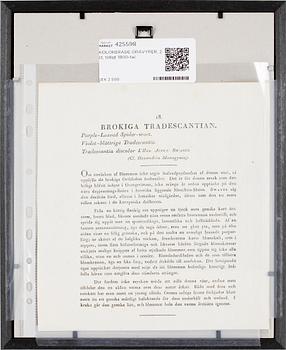 KOLORERADE GRAVYRER, 2 st, tidigt 1800-tal.