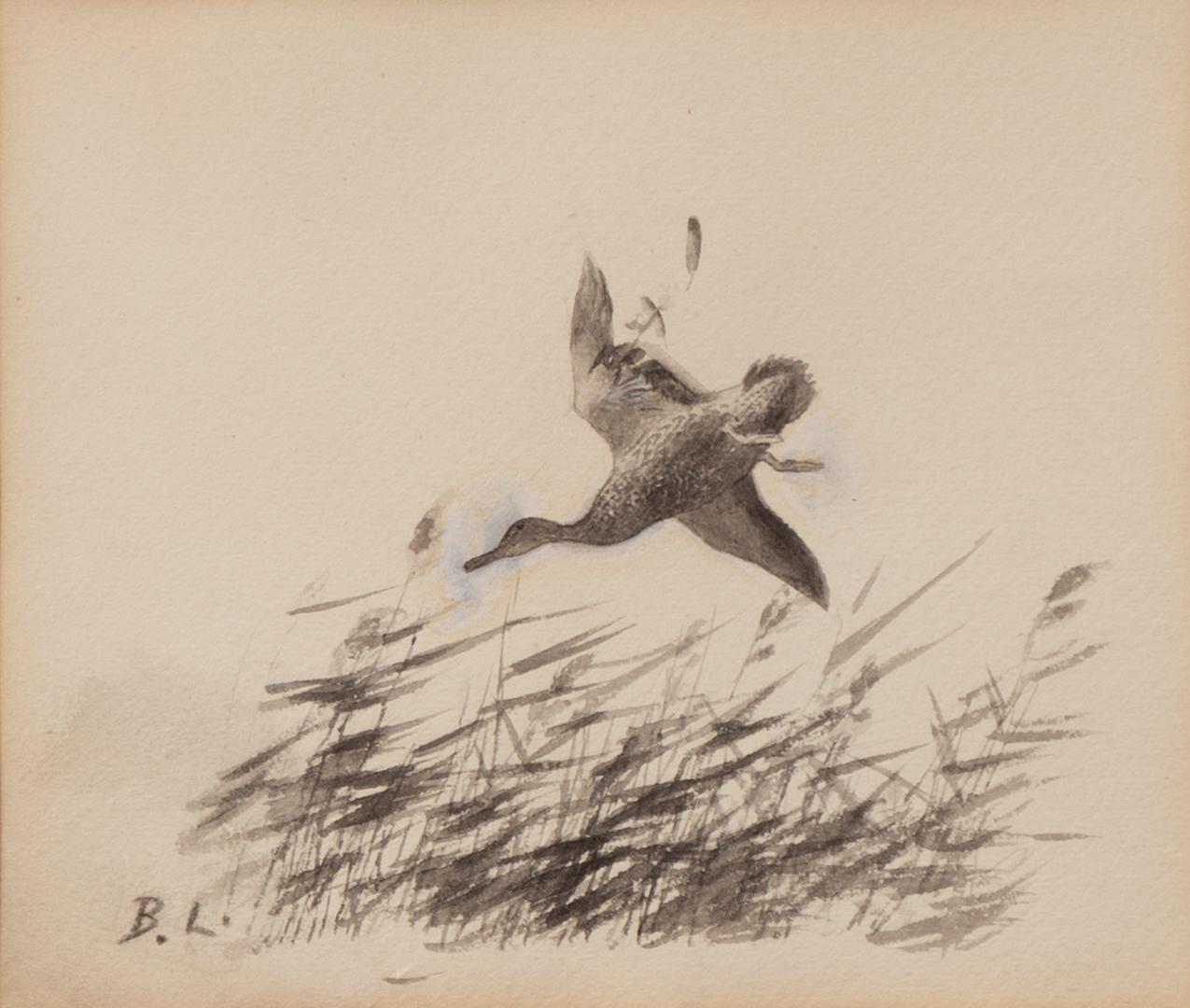 Bruno Liljefors, Gräsand.