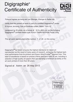 INGMAR JERNBERG & JAN ELLINGER, digiprint, signed and numbered 1/25.
