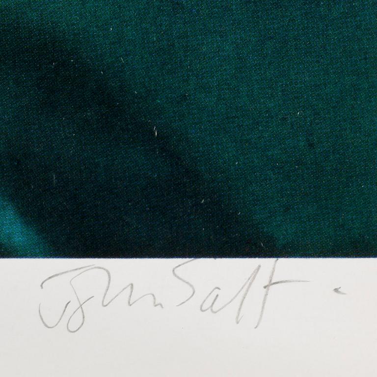 JOHN SALT, offsettryck, signerad.