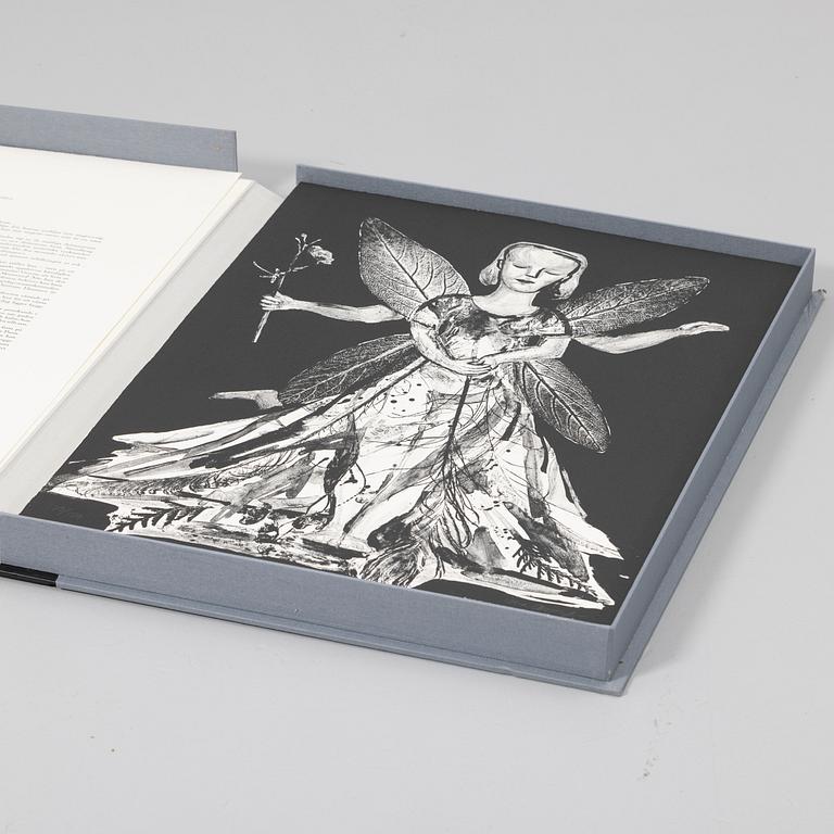 Lena Cronqvist, Portfolio, "August Strindberg – A Dream Play".