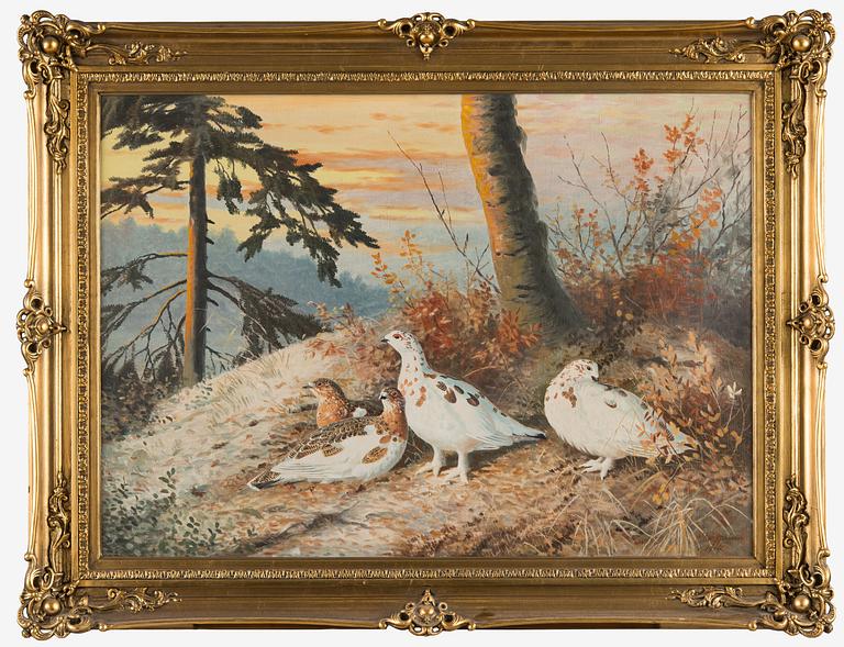 Matti Karppanen, Willow Grouse in the Woods.